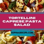 Tortellini Caprese Pasta Salad