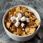 Double Chocolate Protein S'mores Bowl