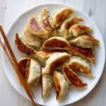 Homemade Chicken and Vegetable Dumplings Recipe