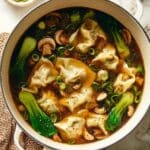 Potsticker Soup Recipe