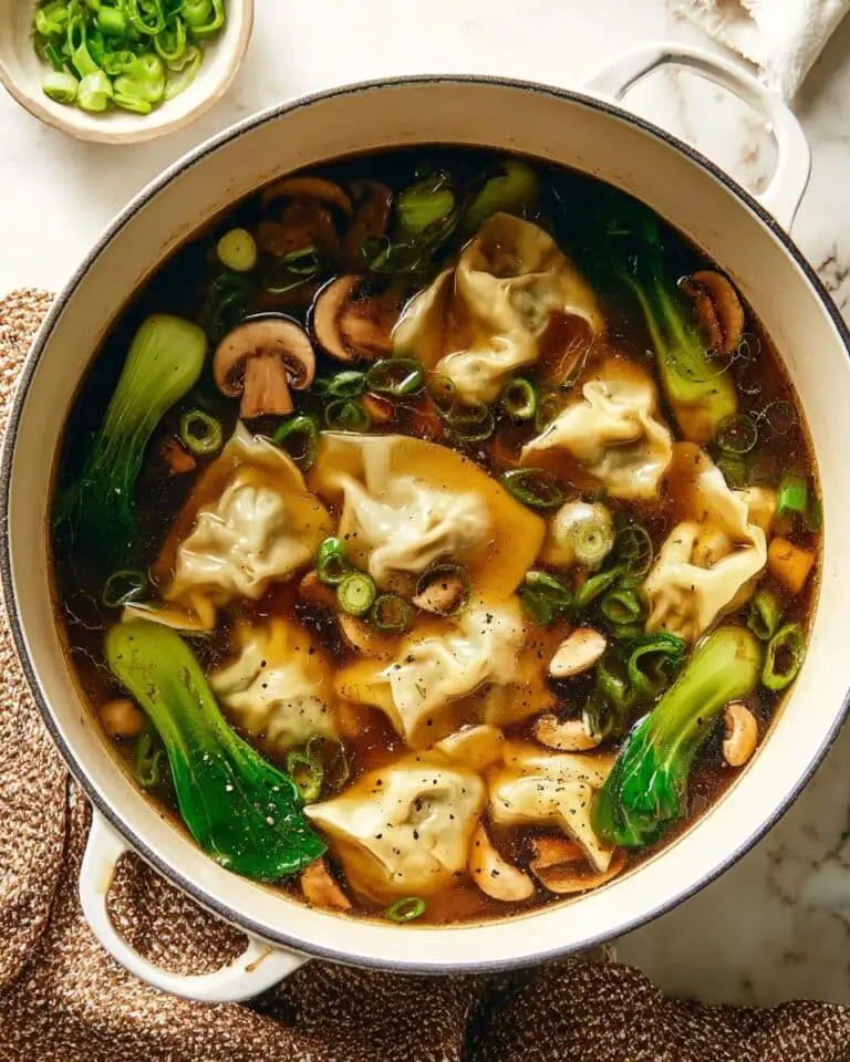 Potsticker Soup Recipe