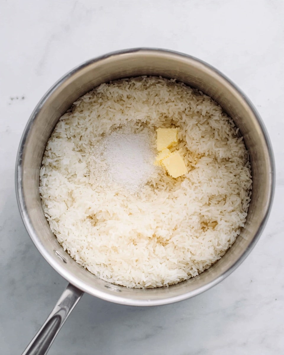 A stainless steel pot filled with one even layer of uncooked white rice covering the bottom. Near the center, there is a small pile of white salt and a smaller patch of light yellow butter or oil on top of the rice. The pot sits on a white marbled surface. photo taken with an iphone --ar 4:5 --v 7