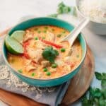 Slow Cooker Chicken Thai Soup Recipe
