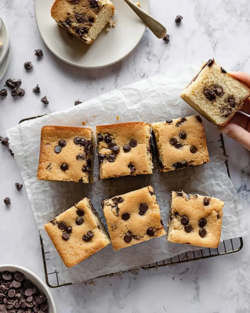 Vegan Chocolate Chip Vanilla Cake Recipe