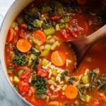 Easy, One-Pot Vegetable Orzo Soup Recipe