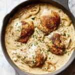 Sour Cream and Onion Chicken Recipe