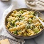 Really Quick Broccoli Pasta Recipe