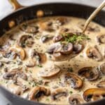 Creamy Mushroom Sauce with Rosemary Recipe
