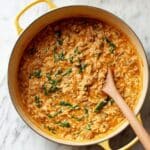 Ground Beef Orzo with Tomato Cream Sauce Recipe