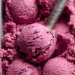 3 Ingredient Blueberry Frozen Yogurt Recipe
