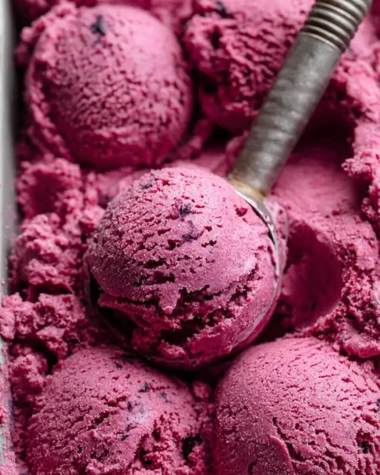 3 Ingredient Blueberry Frozen Yogurt Recipe