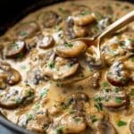 Creamy Mushroom Sauce Recipe